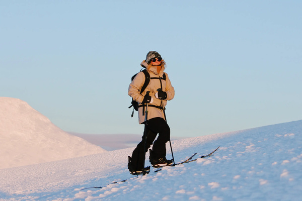 Layer Guide