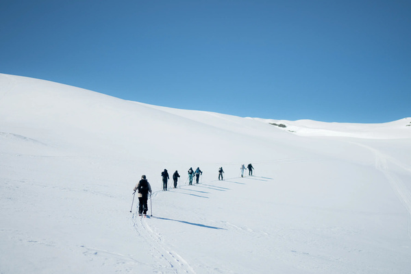 New year, new adventures